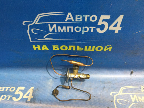 Клапан кондиционера Great Wall SAFE 2008