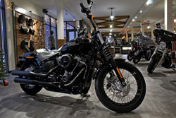 Harley-Davidson Softail®Street Bob  2020