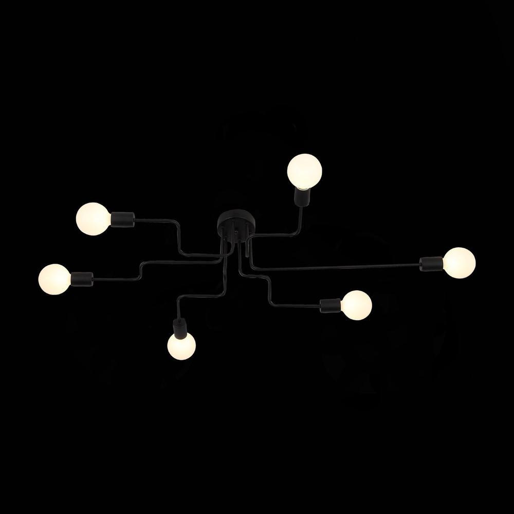 SL419.442.06 Светильник потолочный Черный E27 6*60W