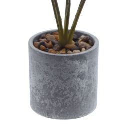 GAEM Цветочная композиция "Маранта", L10 W10 H35 см