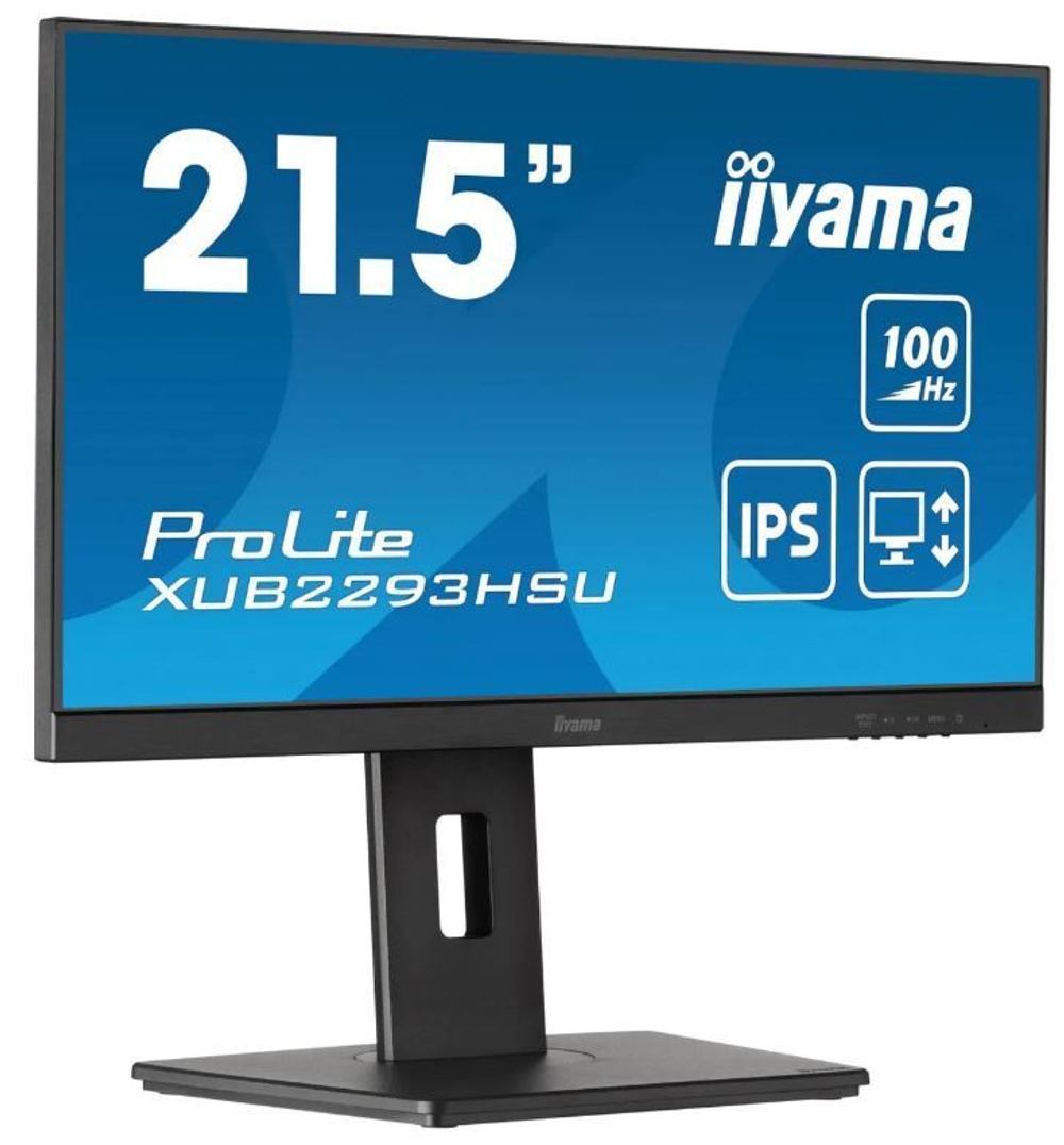 Монитор 21,5" Iiyama ProLite XUB2293HSU-B7