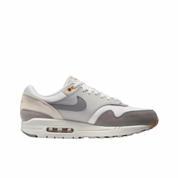 Nike Air Max 1 "Light Iron One"