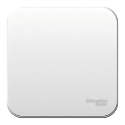 Выключатель одноклавишный наружный BLАNCА (cх.1) с изолирующей пластиной, 10А, 250B