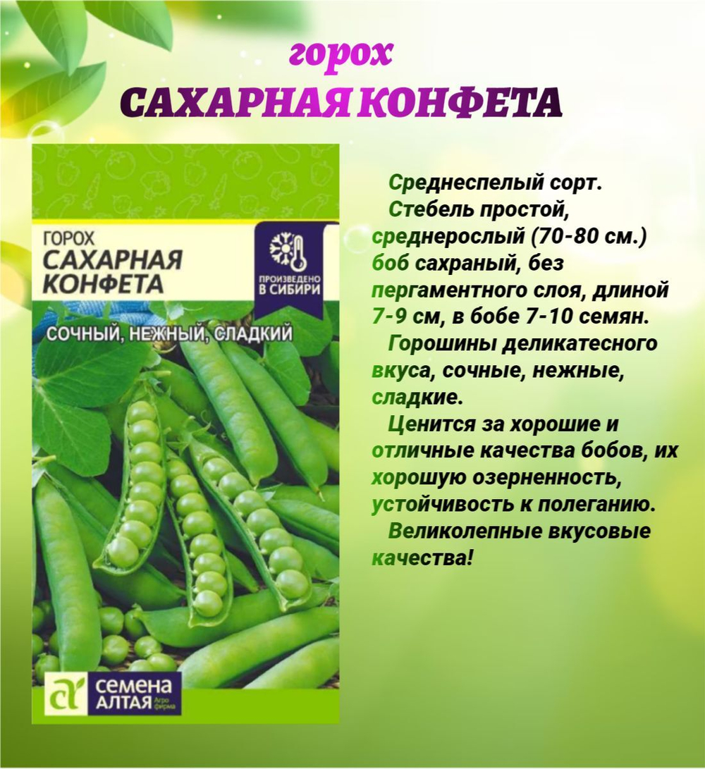 Набор семян бобовых культур: фасоль и горох.