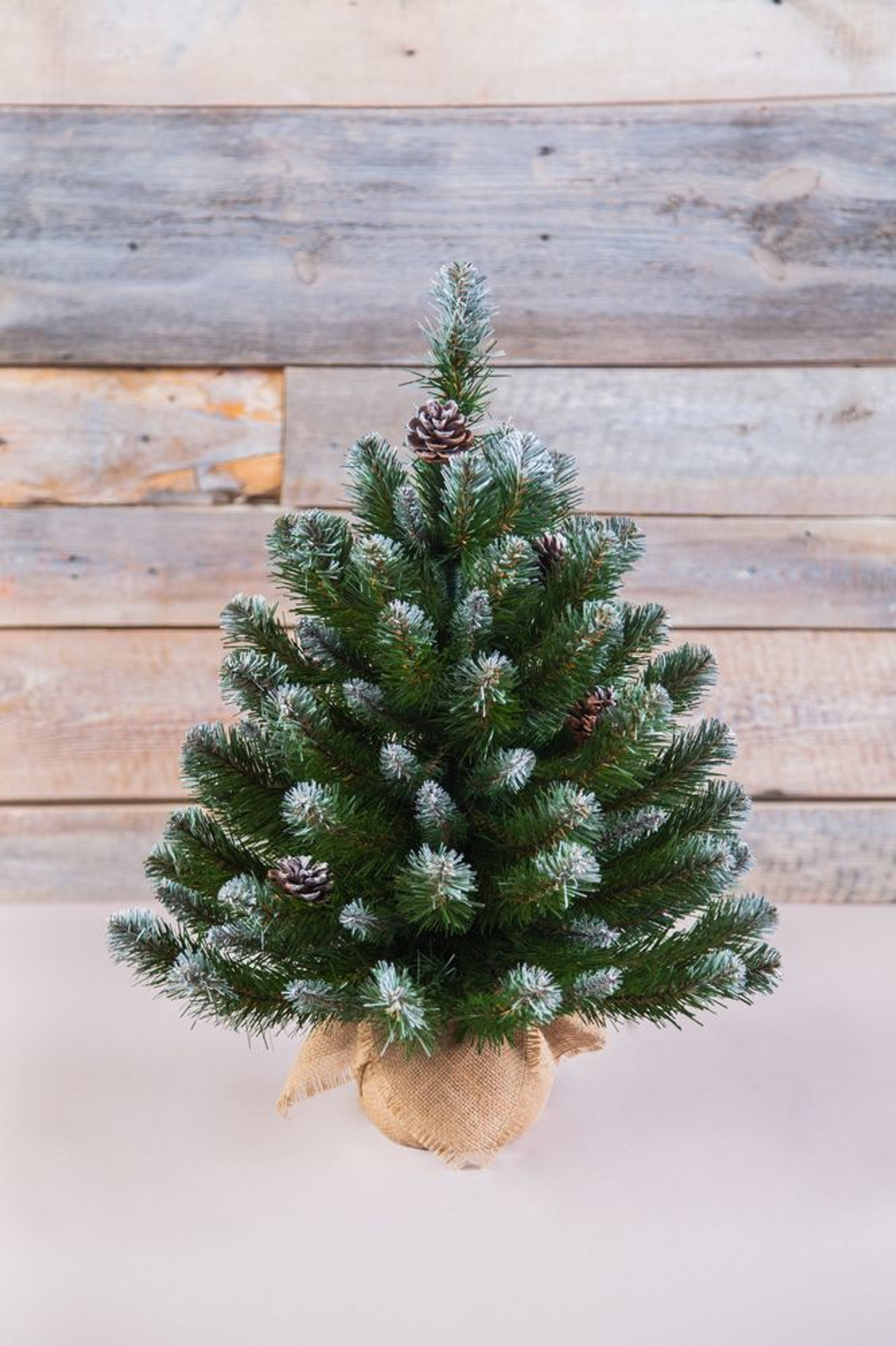 Ель Императрица с шишками 90 CM в мешочке заснеженная Triumph Tree