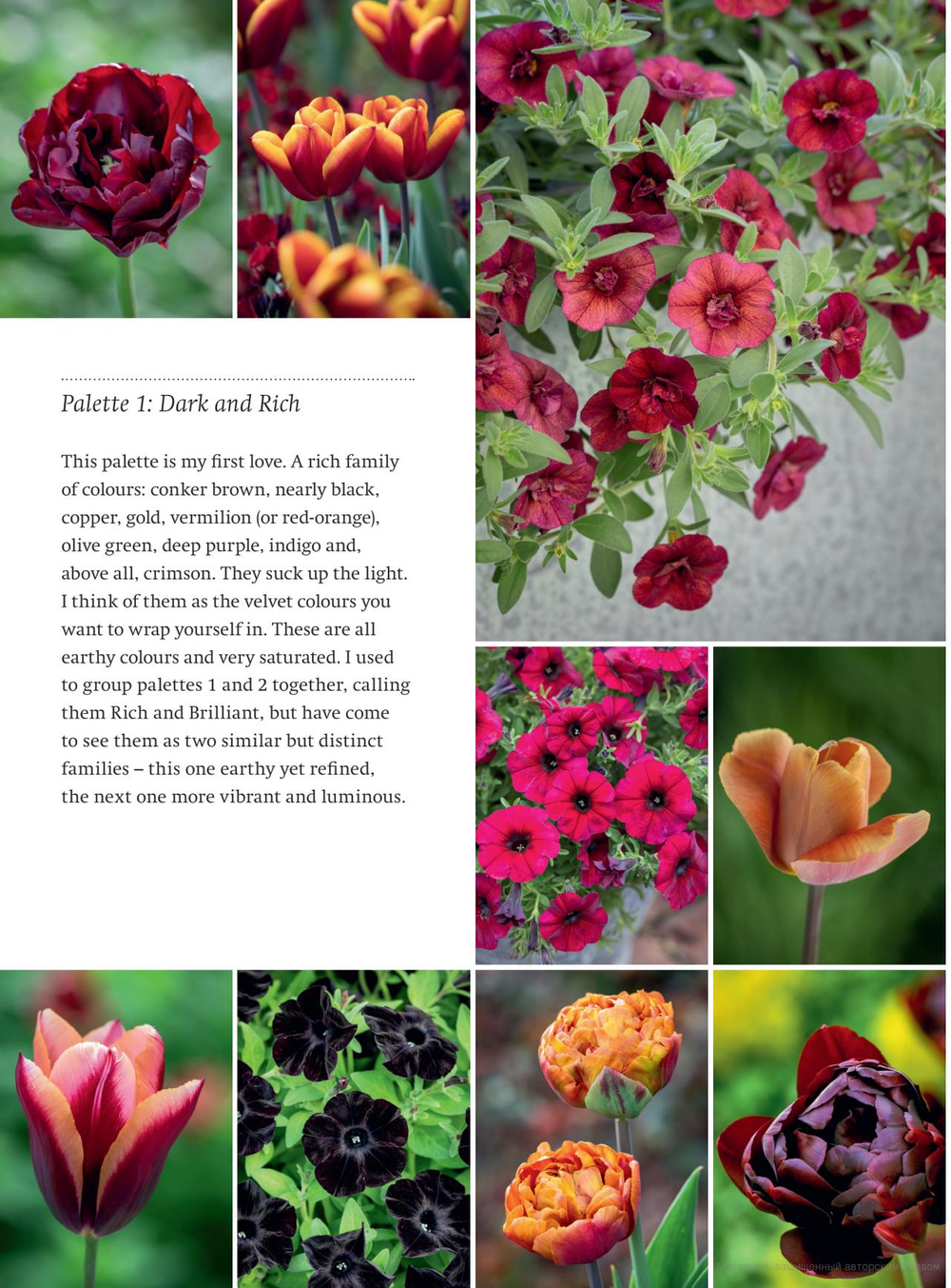 A Year Full of Pots: Container Flowers for All Seasons