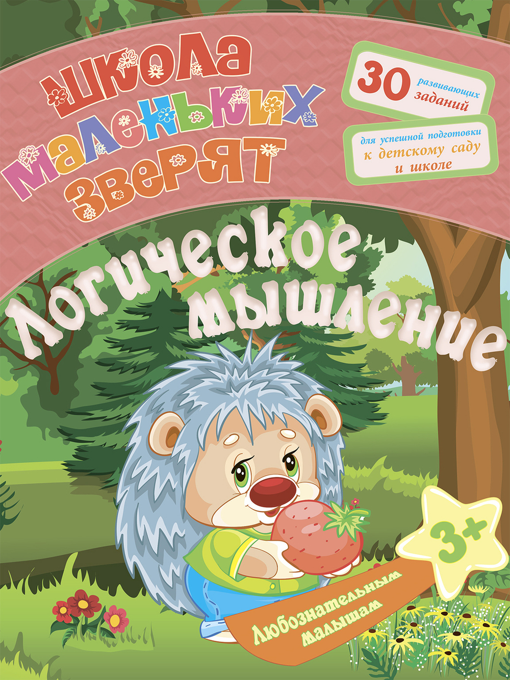 Полный курс подготовки к школе. 6 книг по всем направлениям развития
