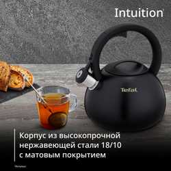 Чайник для плиты Tefal Intuition 2.5 л N4180417