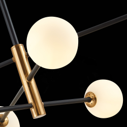 Светильник потолочный Evoluce Arcola SLE220103-06