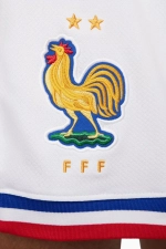 Шорты Nike France 2024 Home Stadium