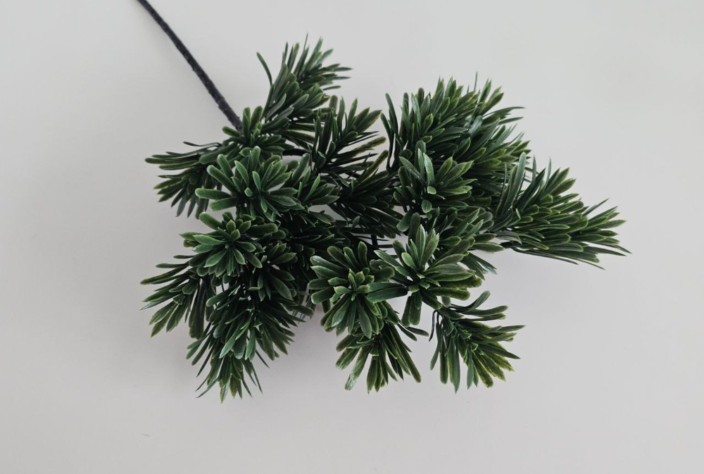 Бонсай подокарпус / Арт 5033