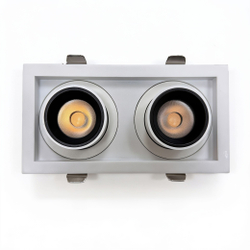 Светильник точечный встраиваемый Wertmark Technical Dorsum WTD.O31.067.30.20