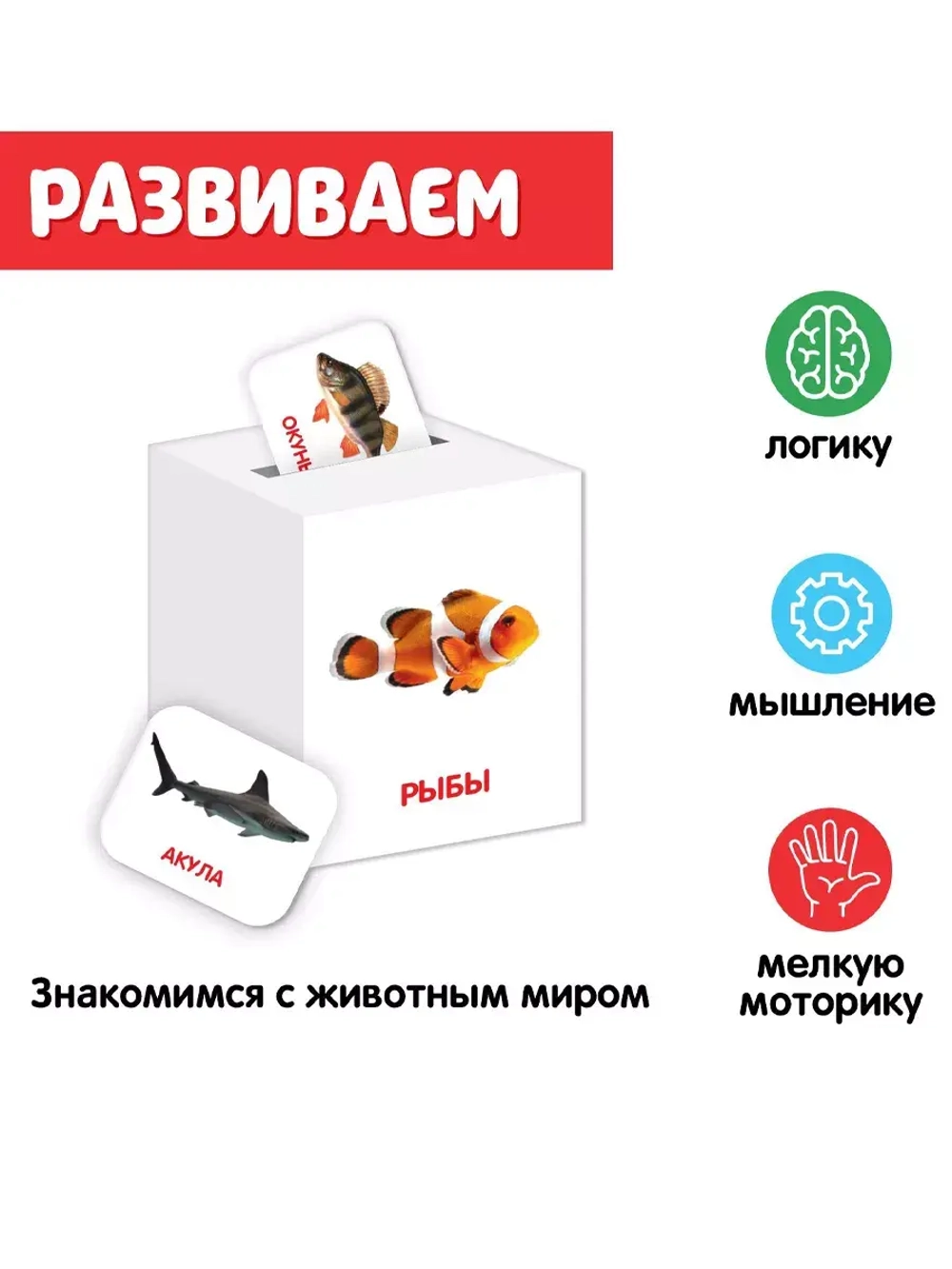 Сортер-копилка Животные по методике Г. Домана