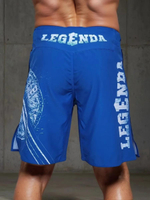 Шорты спортивные тренировочные Legenda Щит и Меч синий