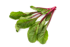 ЧАРБЕЛЛ F1 семена мангольда ( Rijk Zwaan / РАЙК ЦВААН )