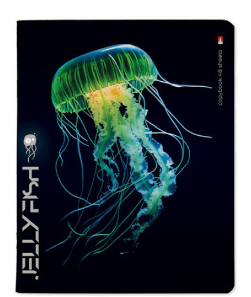 Тетрадь 48 л. БРУНО ВИСКОНТИ Медузы фентези (7-48-1331)