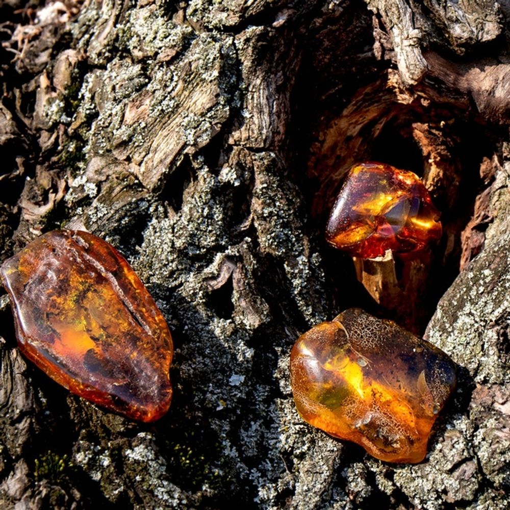Амбра и уд (Amber Oud)