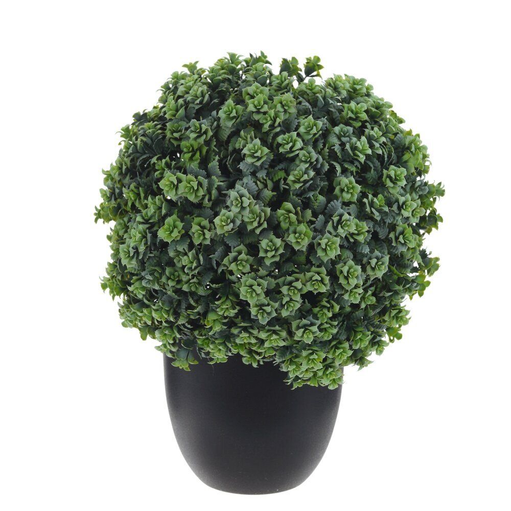 GAEM Цветочная композиция "Самшит", L19 W19 H27 см, 2в.