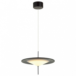 Подвесной светильник Odeon Light 5012/16L