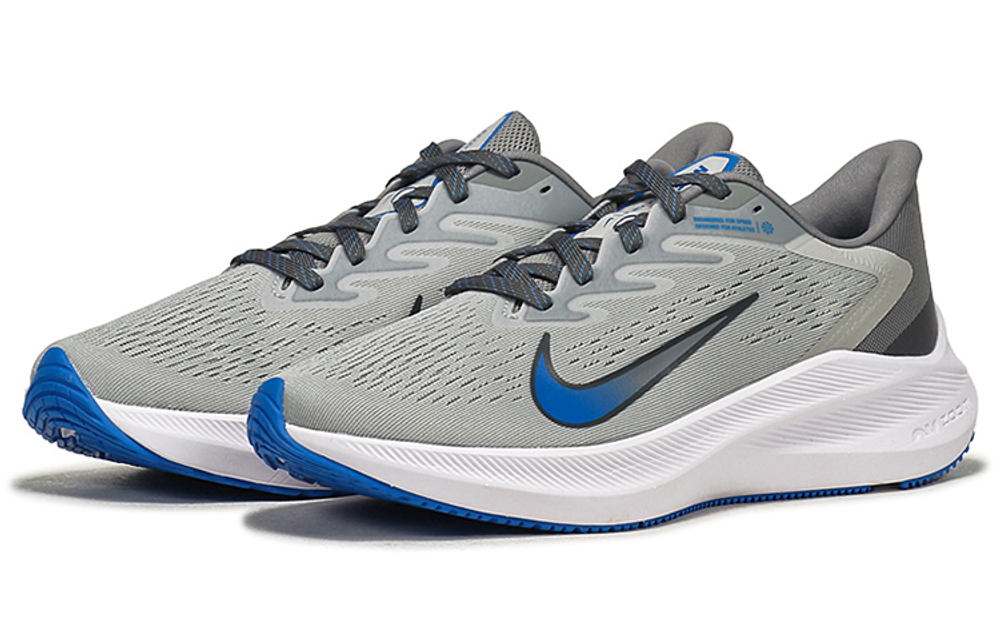Кроссовки Nike Zoom Winflo 7