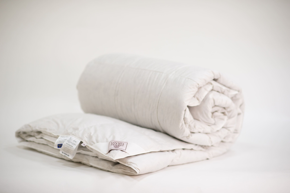 Одеяло всесезонное 160х220 German Grass Silver Down