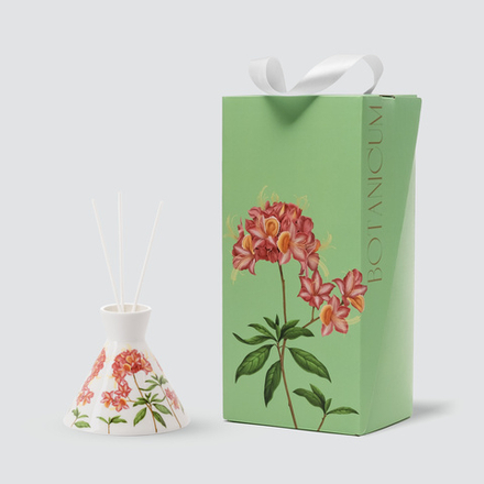 Диффузор Farforite «Рододендрон / Botanicum» в подарочной коробке