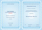 Microsoft Access + SQL