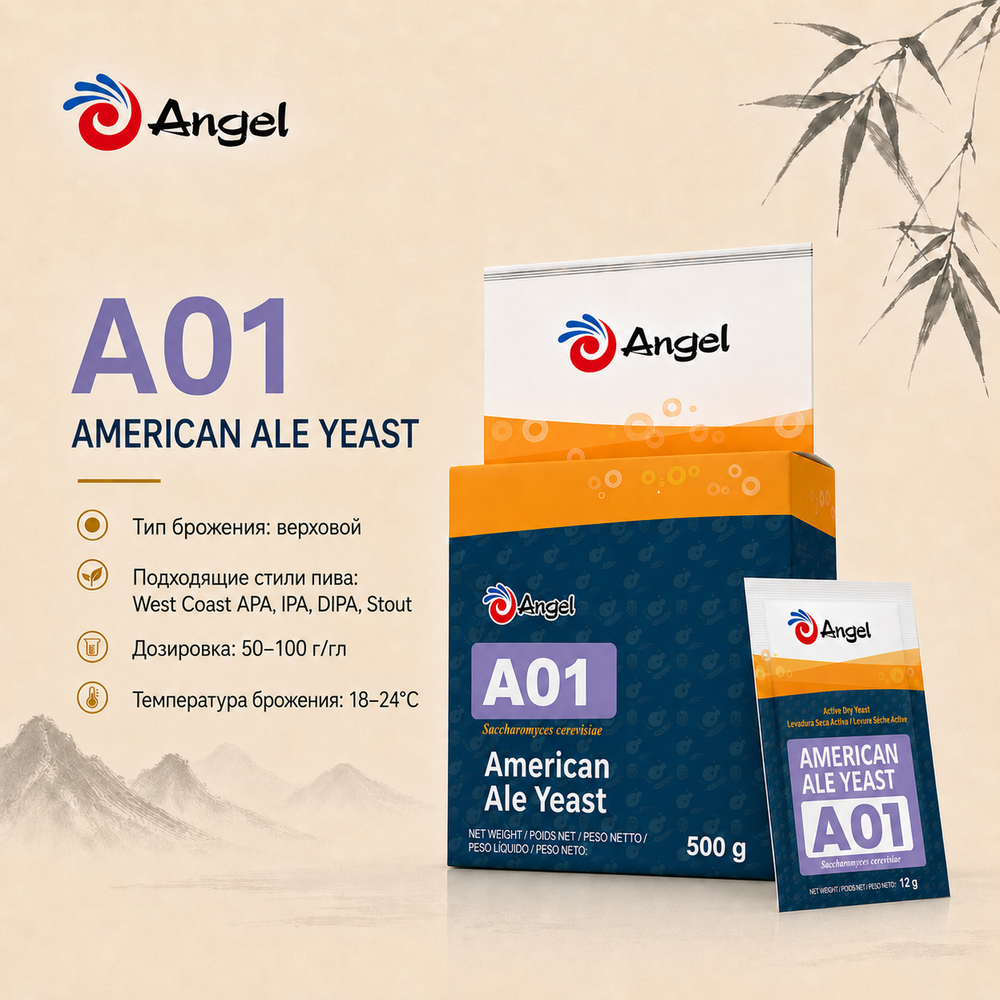ANGEL A01