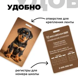 Карта Москвёнок DOGS №13 (проход + питание)