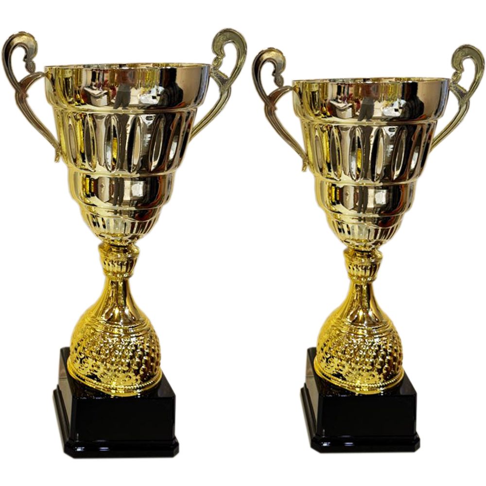 Кубок PN23-0929