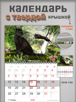 Настенный отрывной календарь "Пантеры"