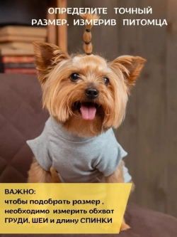 Футболка для собак мелких средних пород и кошек