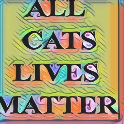 All cats lives matter