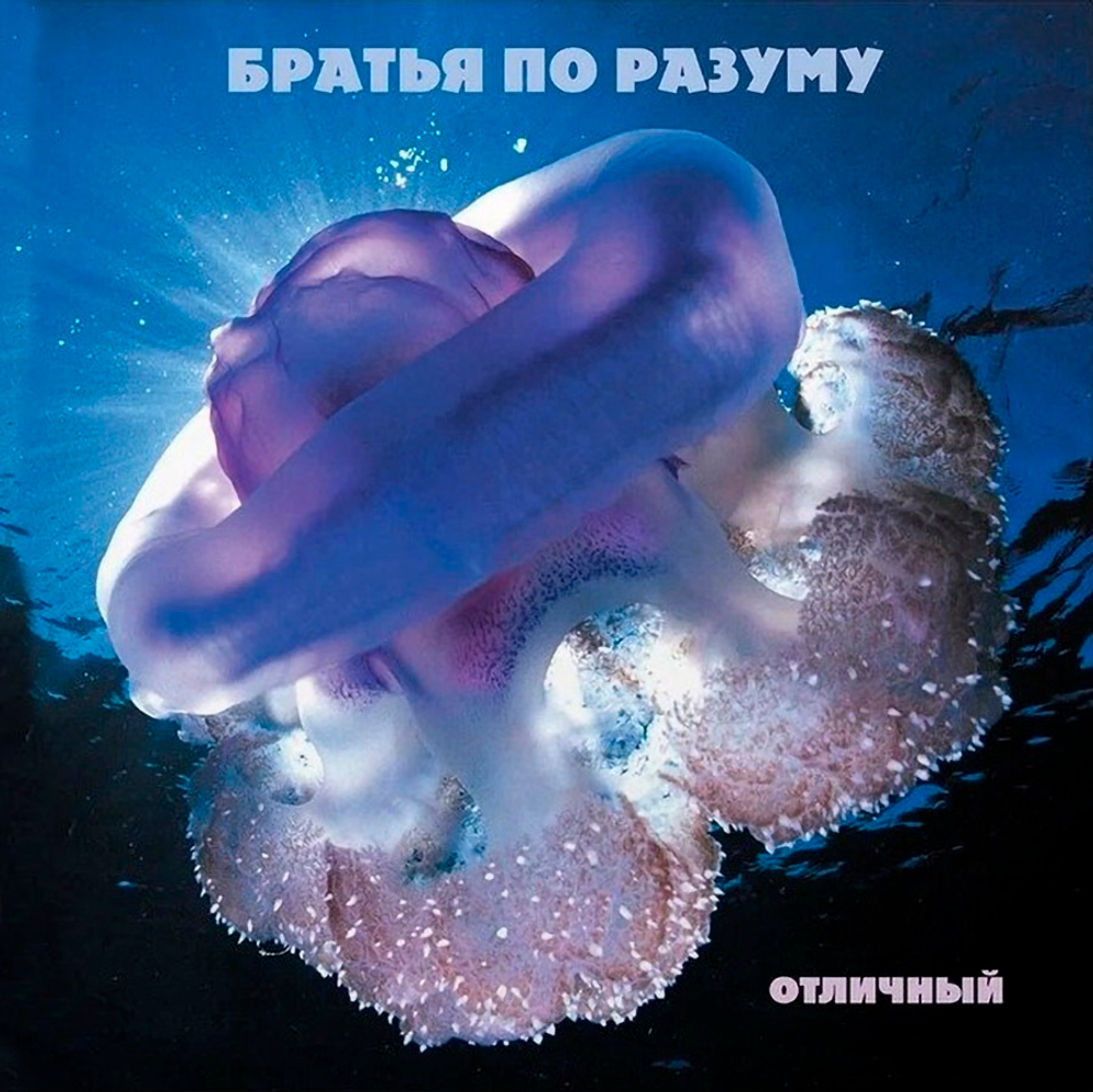 Братья по разуму / Отличный (LP)