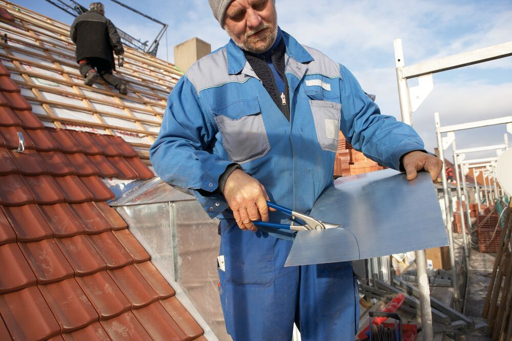 пара ножниц ERDI BESSEY идеальных D216-280 и D216-280L