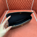 Louis Vuitton Wallet on Chain Ivy