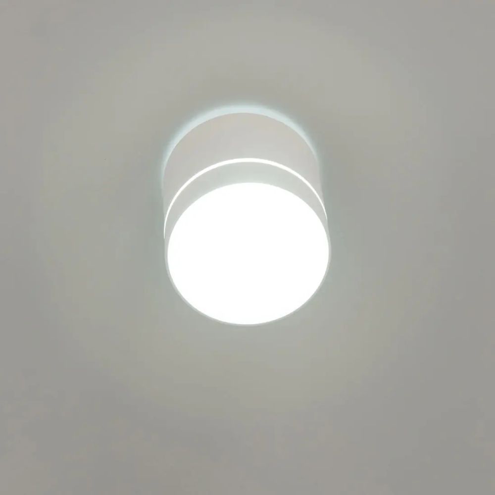 Citilux Борн CL745020N LED Светильник накладной Белый