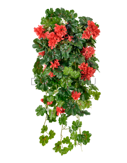 Герань красная ампельная куст (пластик с UV-фильтром) в-58 см, ш-30 см 6/24 20.1252R-UV