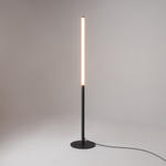 Торшер светодиодный Maytoni Ray Z012FL-L18B3K