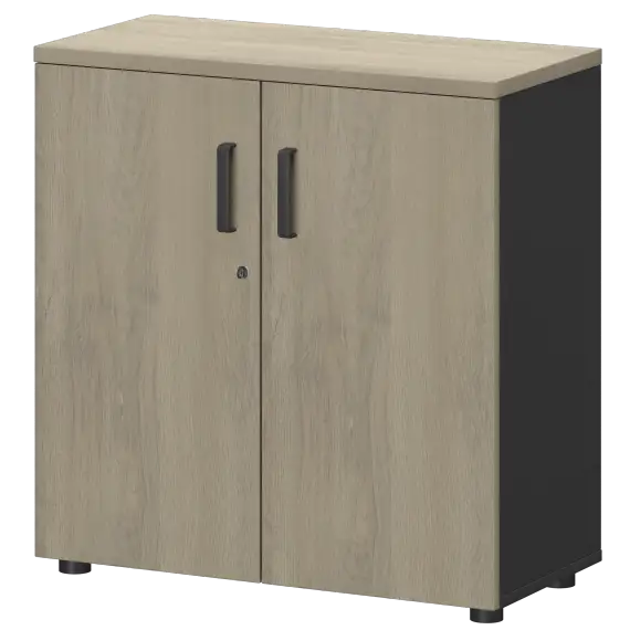 Шкаф СМШ-28Д Тип2  792x380x836 Смарт