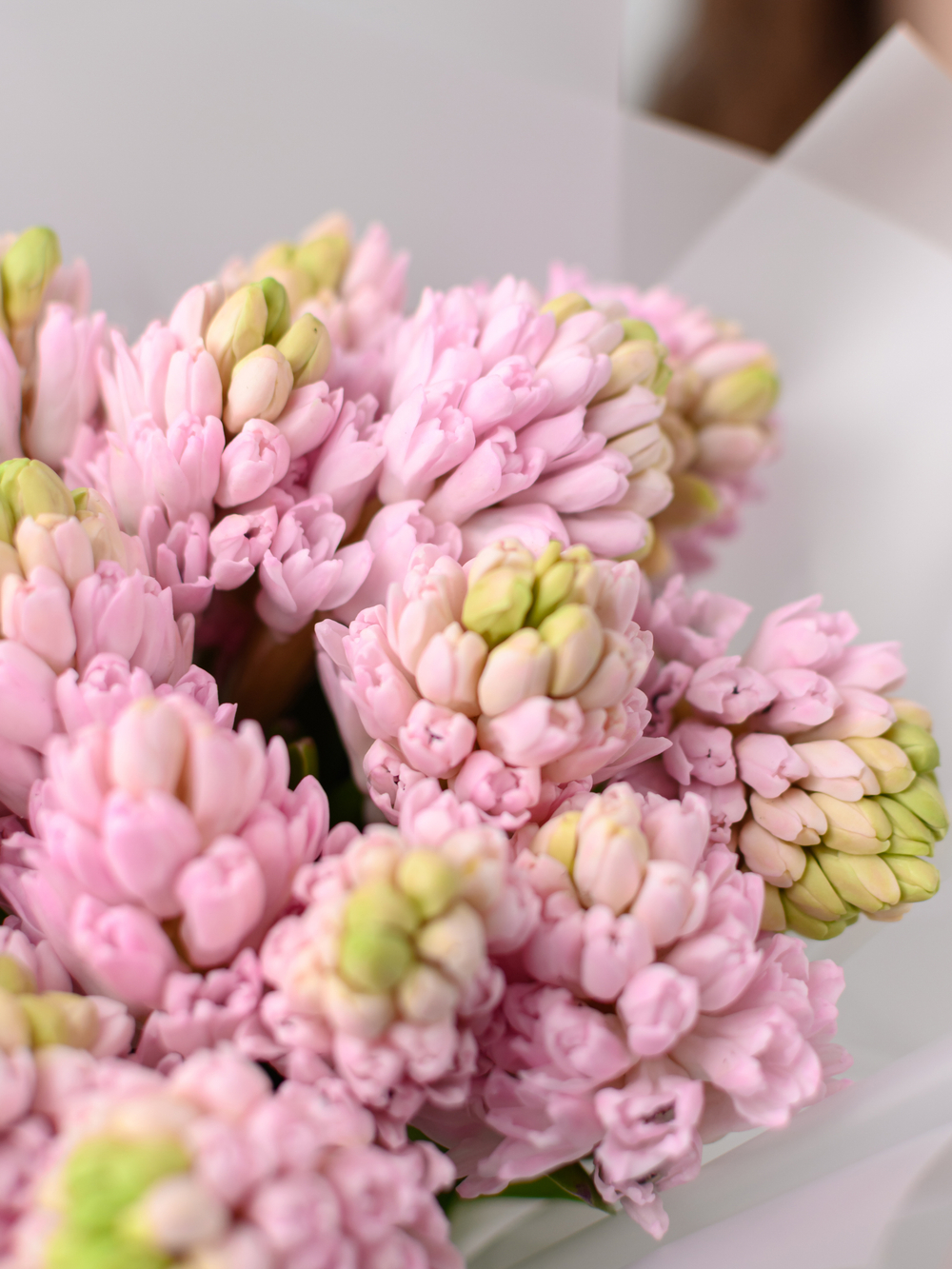 Монобукет из Гиацинтов