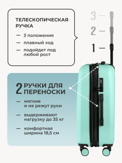 Набор S/L ручная кладь и большой Мятный