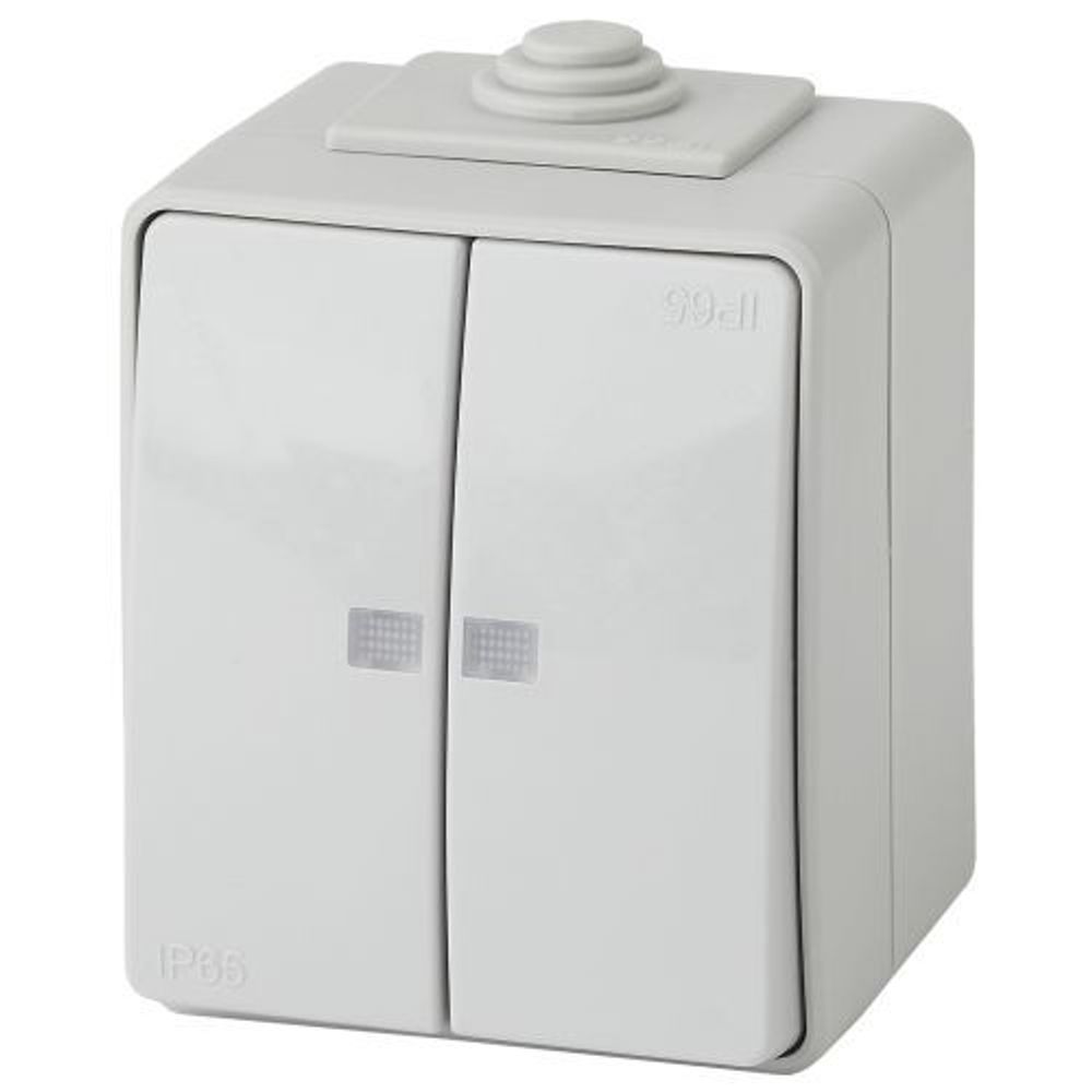 Выключатель 2-кл. ОП Эра Эксперт 10А IP65 11-1605-03 250В 10AX с подсветкой сер. Эра Б0035977 Выключатель 2-кл. ОП Эра Эксперт 10А IP65 11-1605-03 250В 10AX с подсветкой сер. Эра Б0035977