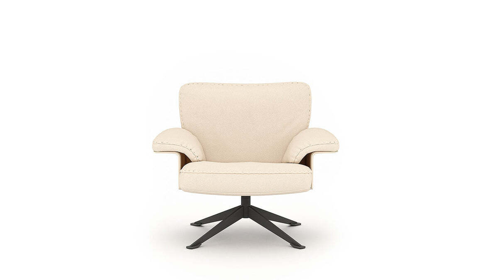 Кресло DeSede DS-31/101 Armchair