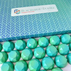 543 | Форма для шоколадных изделий (275*175 мм)