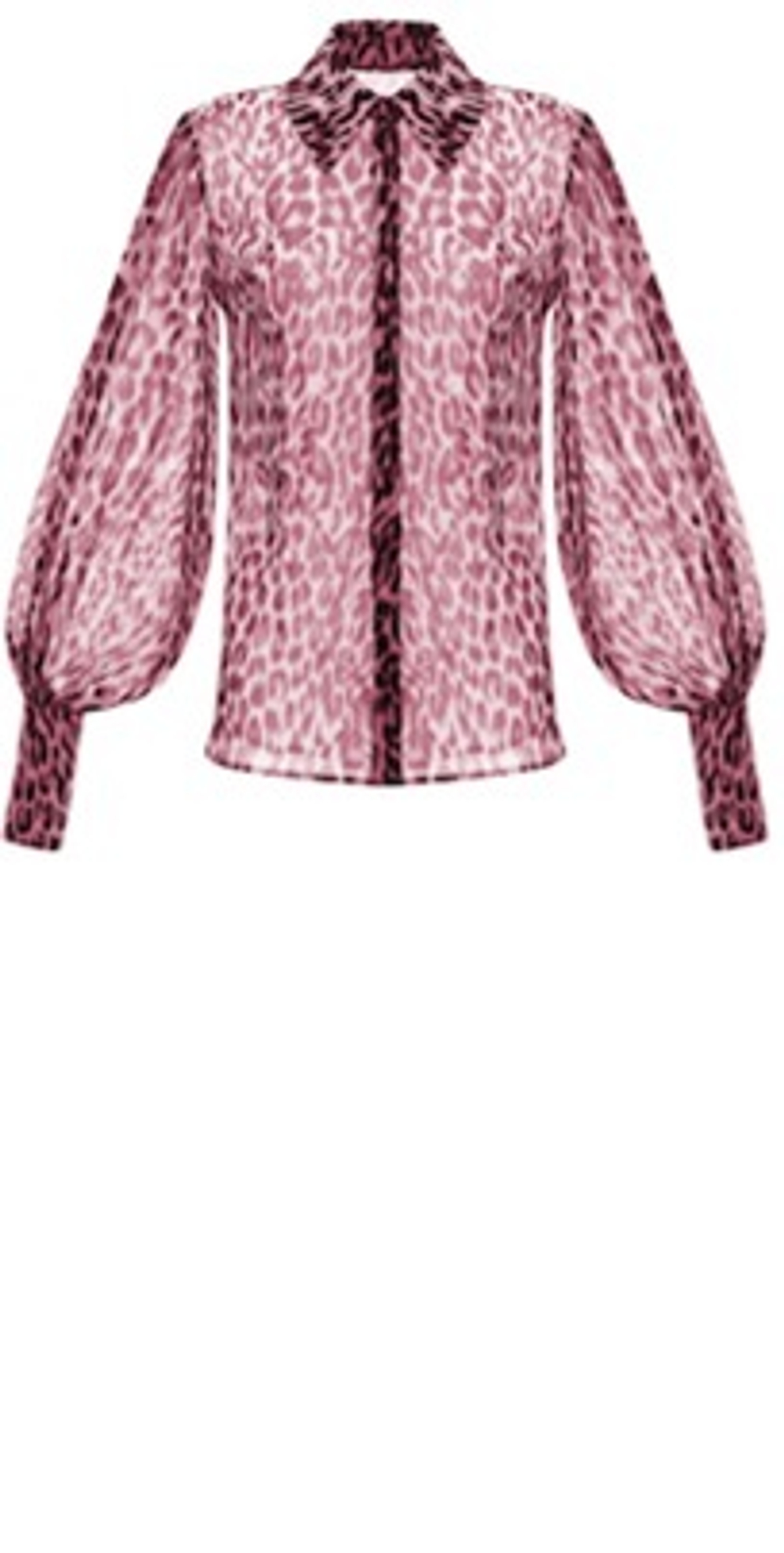 Блуза с Объемными Рукавами из Шифона с Принтом