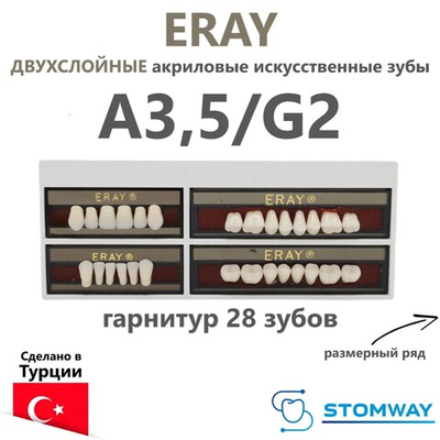 Eray (гарнитур 28 зубов, A3,5/G2) зубы искусственные акриловые двухслойные