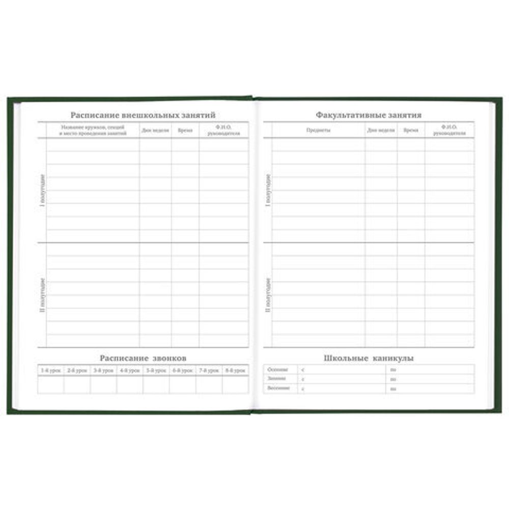 Дневник 5-11 класс 48 л., твердый, BRAUBERG, глянцевая ламинация, с подсказом, "Freestyle", 106395