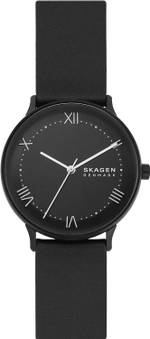 Мужские наручные часы Skagen SKW6623