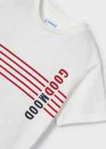 толстовка с брюками и футболкой